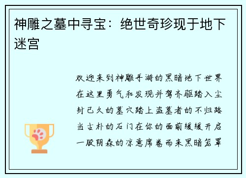 神雕之墓中寻宝：绝世奇珍现于地下迷宫